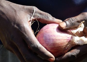 Cebollas contra la emigración irregular