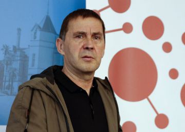 El secretario general de Sortu, Arnaldo Otegi.