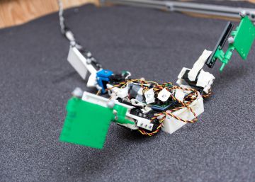 "Muddybot", el robot que utiliza los principios locomotores del pez del fango para moverse por superficies granulares, tiene dos aletas y una cola que se mueven gracias a un motor eléctrico.