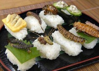 Sushi de insectos: ¿Otro hype repulsivo o un manjar?