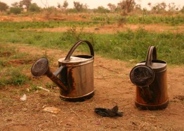 Un proyecto de la cooperaci&oacute;n espa&ntilde;ola en N&iacute;ger promueve la gesti&oacute;n agr&iacute;cola y uso eficiente del agua.rn 