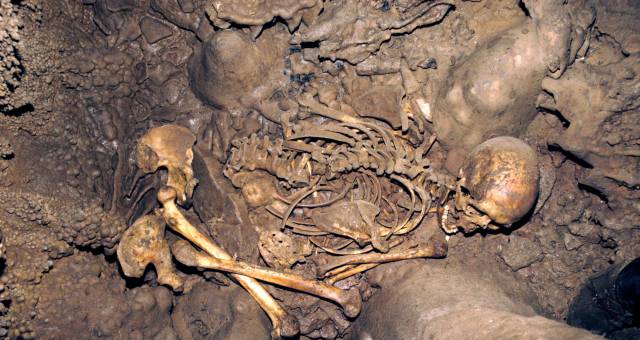 Restos de un cazador y recolector en La Bra&ntilde;a (Le&oacute;n)