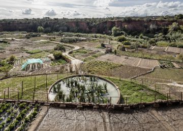 Los huertos de Caldes de Montbui en la provincia de Barcelona.