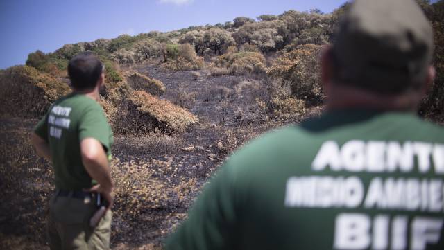 Miembros del BIIF investigan un incendio en Cádiz.