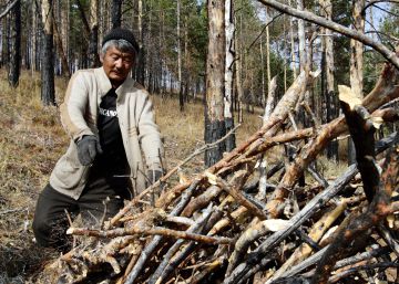 Un miembro de un grupo de usuarios de bosque en Tsagaan Uur (Mongolia) retira ramas para evitar incendios.
