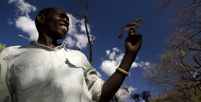 Un miembro de la tribu yao junto a un indicador grande, el tipo de p&aacute;jaro que les ayuda a encontrar miel
