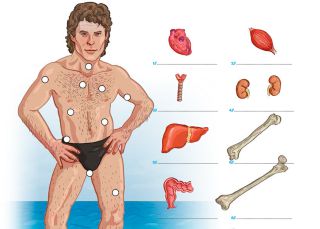 Cuaderno ‘Blackie books’, contra el aburrimiento veraniego desde 2012