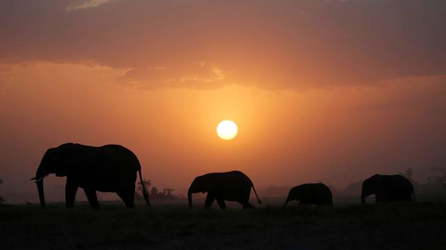 Parque Nacional de Amboseli (Kenia).