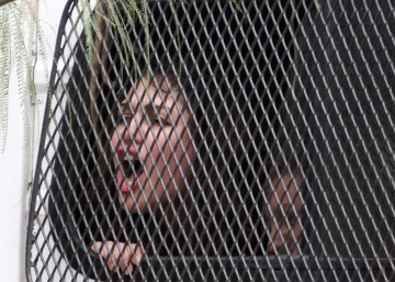 Desigualdad e inclusión en las universidades latinoamericanas