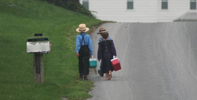 Entre los ni&ntilde;os amish, la incidencia del asma es hasta cuatro veces menor.