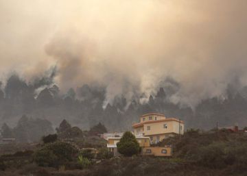 El humo se eleva de un incendio forestal que rabia en las afueras de la ciudad de El Paso, en la isla canaria de La Palma.rn 