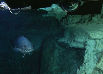 La Ciudad Perdida, bajo el oc&eacute;ano Atl&aacute;ntico.