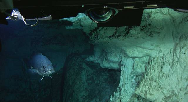 La Ciudad Perdida, bajo el oc&eacute;ano Atl&aacute;ntico.