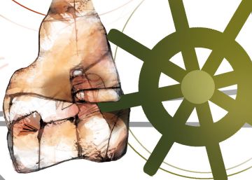 La era de las minorías