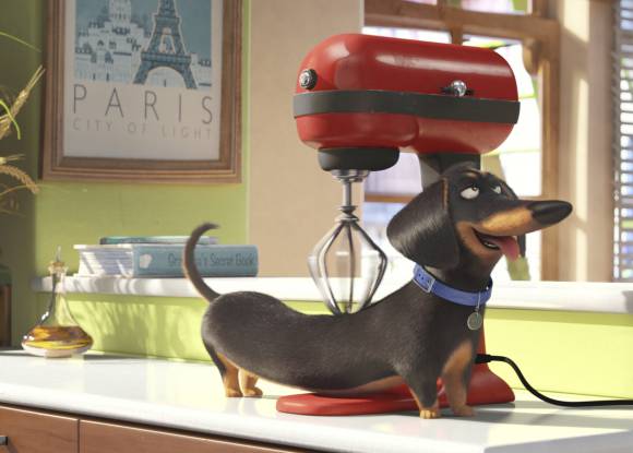 ¿Qué hace de verdad tu mascota cuando la dejas sola en casa?