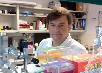 El investigador Santiago Canals