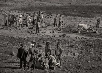 Los agricultores han perdido hasta un 90% de las cosechas debido a la sequía.