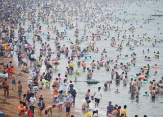 ¿Por qué veraneamos en un lugar tan incómodo como la playa?