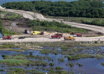 Los manglares, amenazados