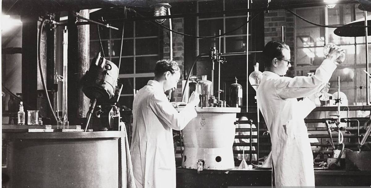 La victoria de las bacterias