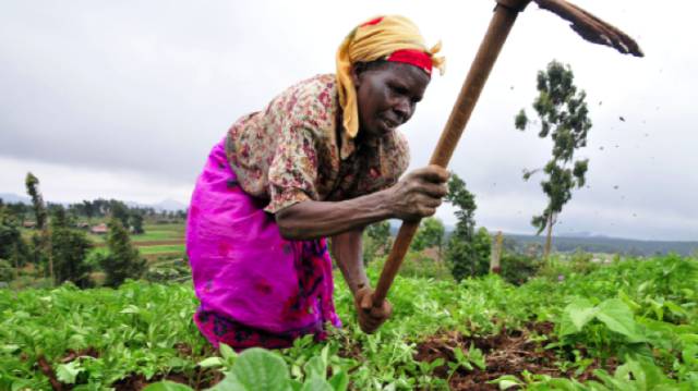 Una mujer africana en el campo.