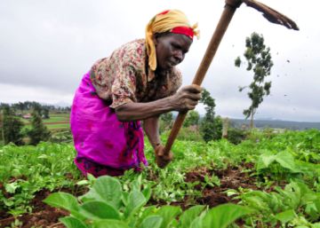 Cinco donantes occidentales deciden el futuro de la agricultura africana