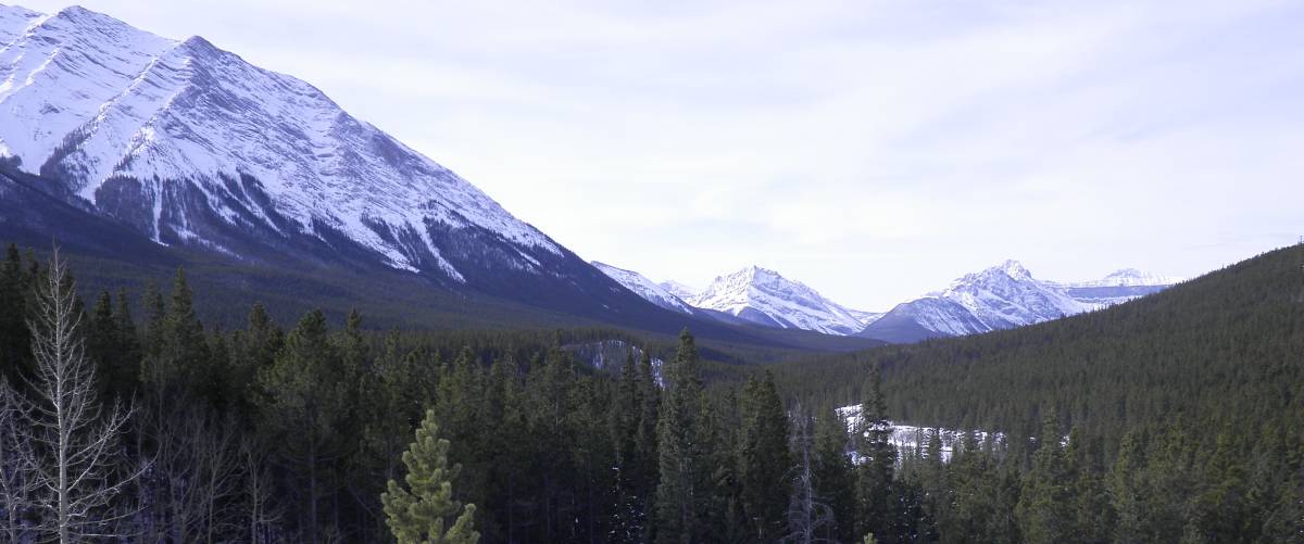 Lugar actual donde se form&oacute; el corredor tras el deshielo.