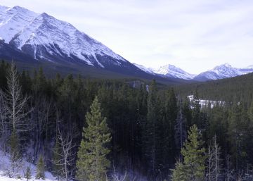 Lugar actual donde se formó el corredor tras el deshielo.