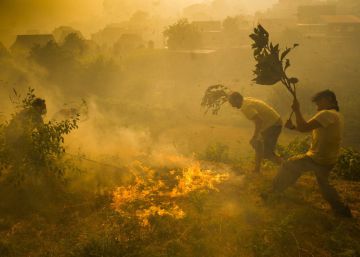 Incendios en Galicia, en imágenes