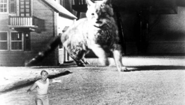 'El incre&iacute;ble hombre menguante', dirigida por Jack Arnold.