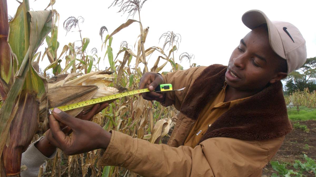 Un joven agricultor en Kenia.