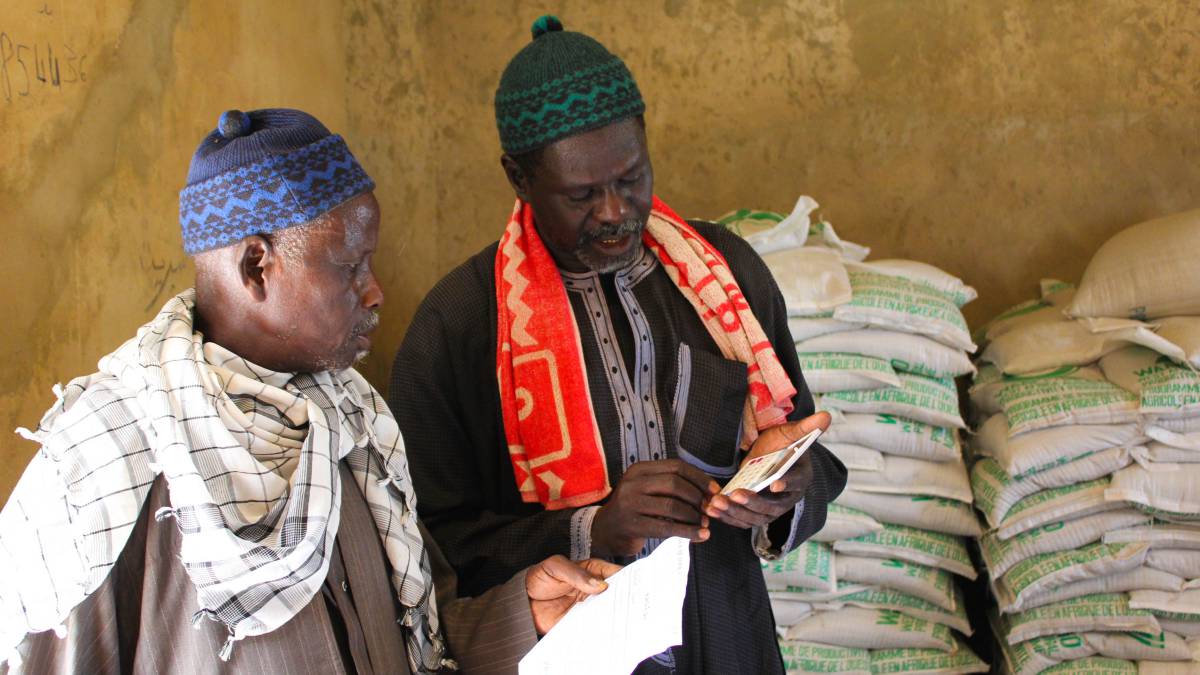 Granjeros senegaleses forman parte de un programa de subsidios para emprender sus negocios de compra y venta de semillas.