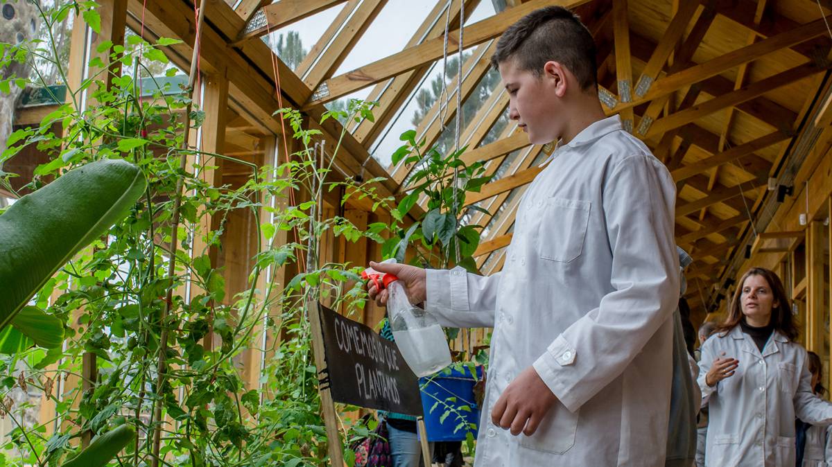 Los alumnos cuidan el huerto orgánico que abastece al comedor escolar.