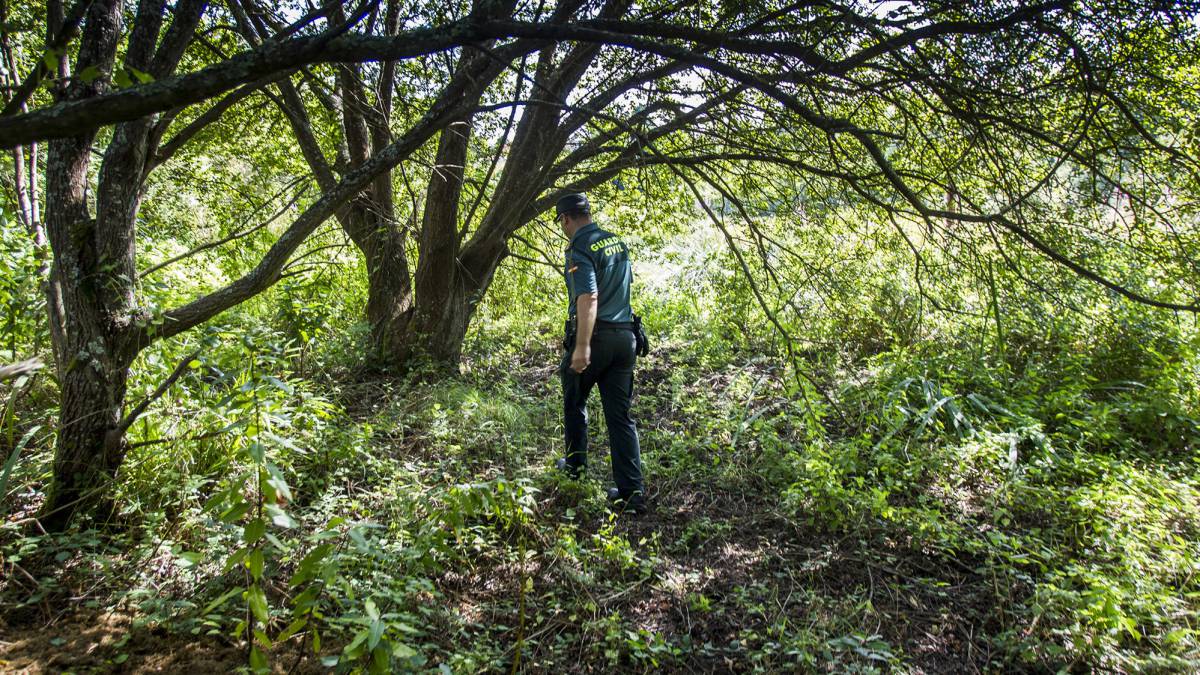 Un guardia civil buscando a la desaparecida Diana Quer en A Pobra do Caramiñal (A Coruña).