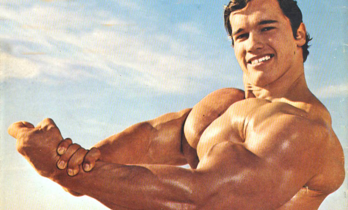 El gimnasio nos hace más listos. La ciencia lo explica