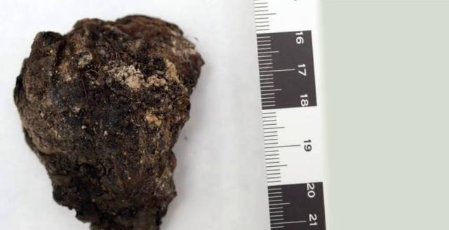 Human heart discovered in Pedraja.