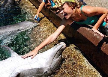 Brie Larson acaricia un delf&iacute;n en 2004.