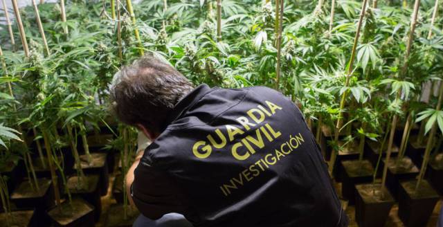 A small-scale plantation in Padul, Granada.