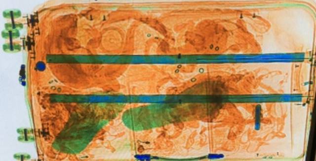 Police say many protected species were among haul.