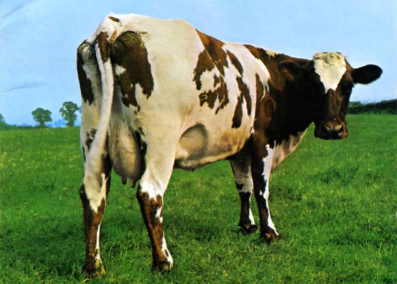 La 'playlist' de Jacobo Fitz-James Stuart