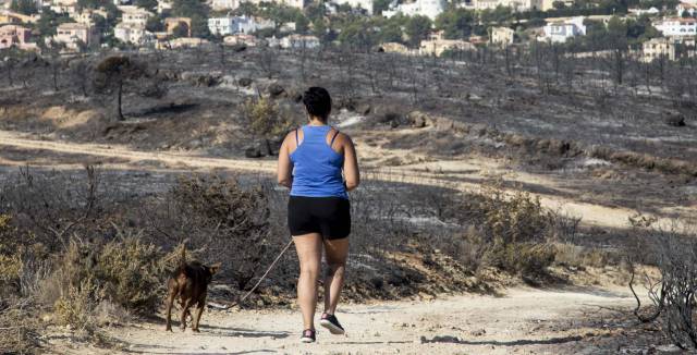 Burnt vegetation in La Granadellal.