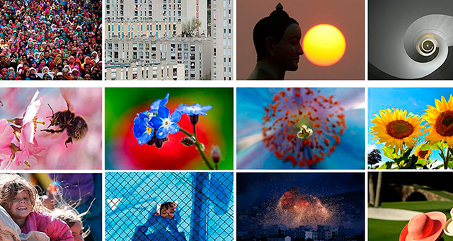 La vida secreta de las flores