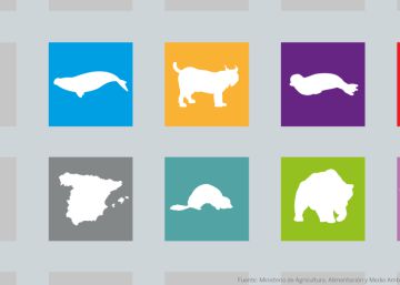 Estos siete magníficos están al borde de la extinción