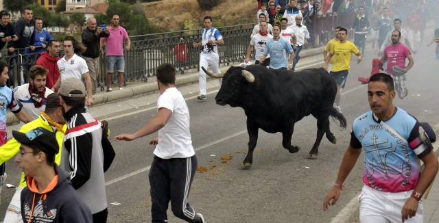 The bull hunt in Tordesillas Tuesday.