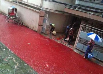 Dacca, la ciudad bangladesí anegada por ríos de agua y sangre animal