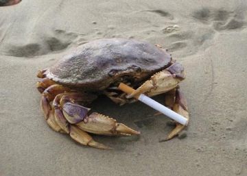 “No he escuchado ese nombre en años”: el meme con cine negro, cigarrillos y animales