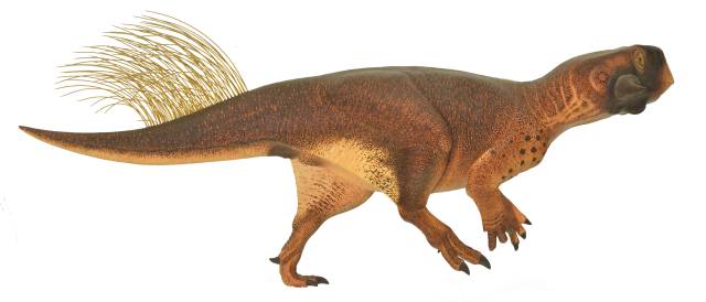 Reconstrucci&oacute;n del 'lagarto loro'.