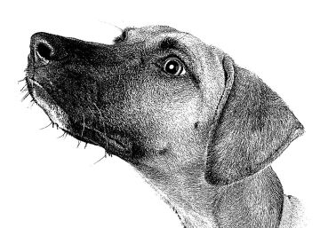 Seis libros de esta semana