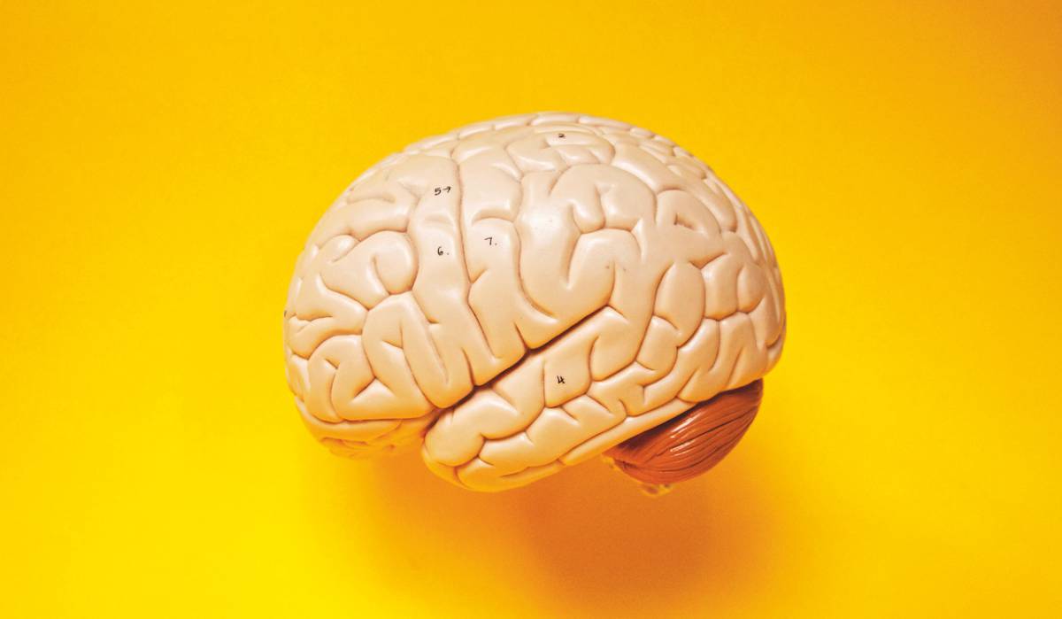 ¿La postura afecta el flujo sanguíneo al cerebro?
