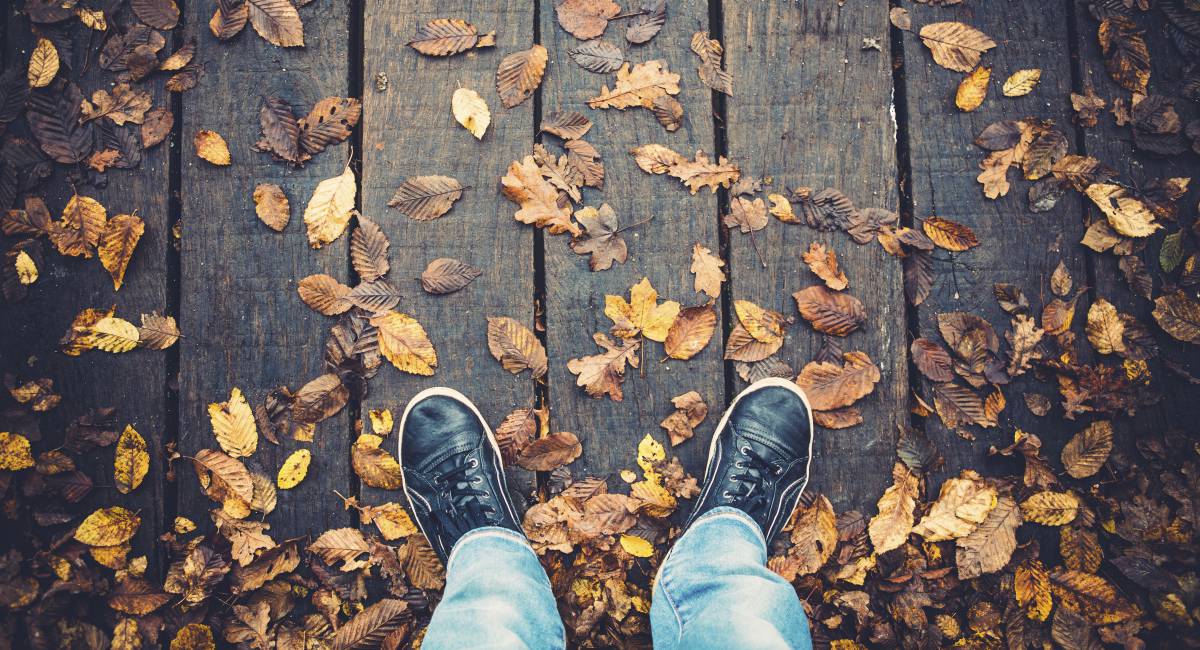 A la mitad de los españoles se les va a caer el pelo en otoño